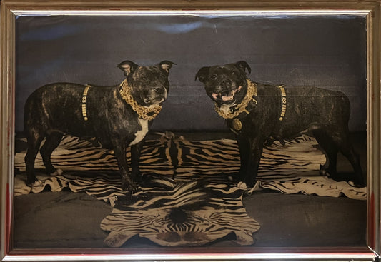 Regal Companions: The Majestic Pair on Zebra Print (Dobermans Painting) [One-of-One]